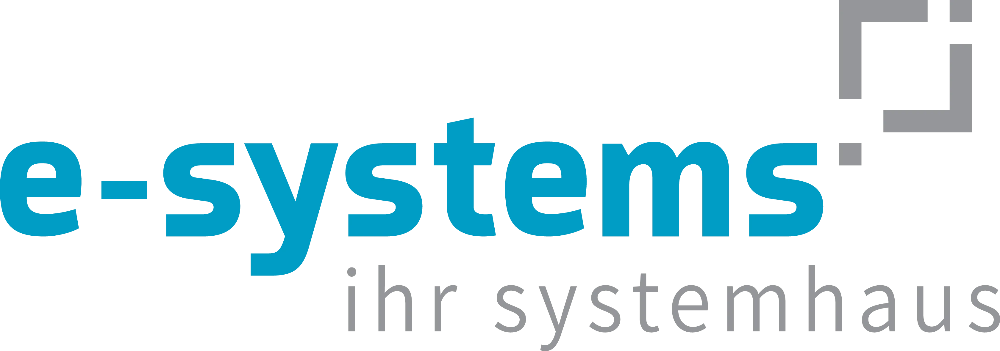 E-Systems Newsletter Gutschein