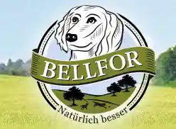bellfor.info